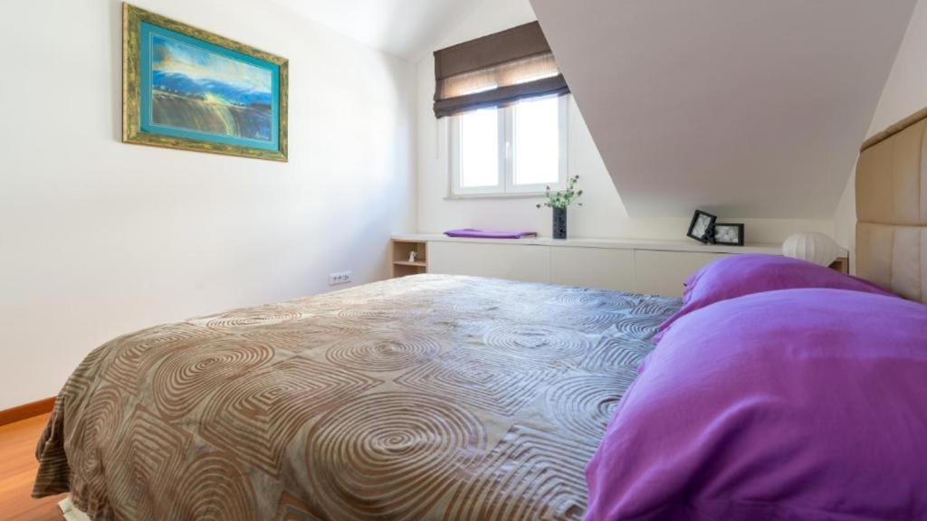 Top Hill Premium Apartment ドゥブロブニク エクステリア 写真